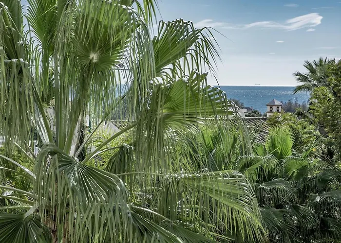 Cl- 1 Bedroom Walking Distance To Puerto Banus Marbella